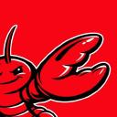 OpenClaw Launch managed OpenClaw hosting — same GitHub openclaw organization avatar as upstream | BestClaw
